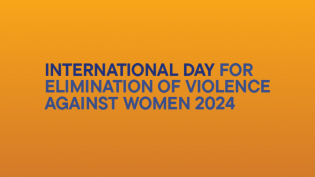 International Day for the Elimination of Violence Against Women 2024